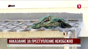 Виновный в смерти Нурай Серикбай предстанет перед судом после расследования