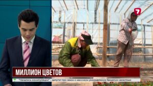 Миллион цветов украсит улицы и парки Тараза