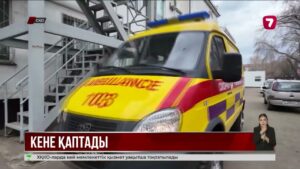 СҚО-да сәуір айы басталғалы 10-нан астам адамды кене шаққан