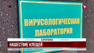 На севере страны началась активность клещей