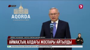 Мемлекет басшысы Жетісу облысының әкімі Бейбіт Исабаевты қабылдады