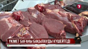 Үкімет бағаны тұрақтандыру үшін кешенді шараларды күшейтпек