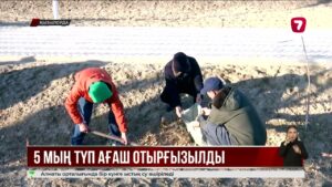 Қызылордада экологиялық акция аясында 800 тоннадан астам қоқыс шығарылды