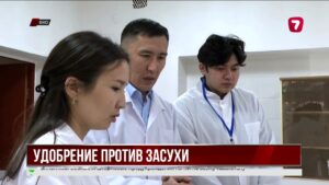 В ВКО создали гидрогель для защиты от засухи