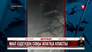 Щучьеде қанға боялған ағынды су көлге құйылып жатыр