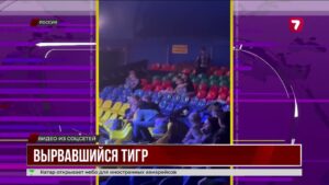 Тигрица выбежала в зрительный зал во время представления