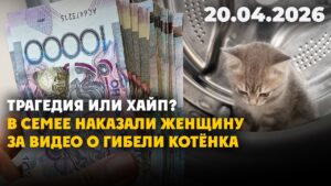 В Семее наказали женщину после видео о гибели котёнка | 20.04.2026
