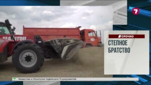 Спасатели вынесли жеребёнка из огня