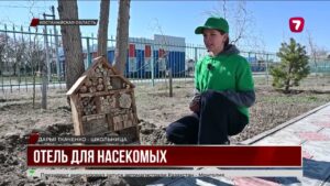 В Костанайской области строят отели для насекомых