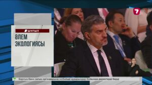 Мектептегі жанжал: қыздардың төбелесі қоғамды шулатты