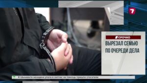 Лесные пожары уничтожили десятки домов в Джорджии