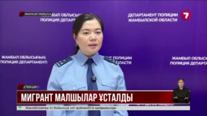 Шетелдіктерді қойшы қылып киіндіріп, шекарадан заңсыз өткізбек болған