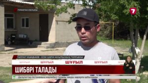 Отырар ауданында тұрғындарға шибөрі шабуыл жасады