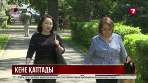 Алматыда маусым басталғалы 517 адамды кене шақты