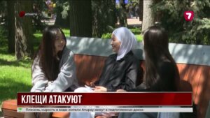 В Алматы фиксируют рост обращений из-за укусов клещей