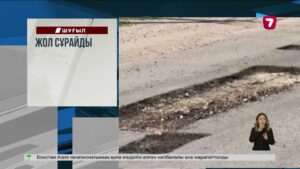 Қызылорда облысында арыққа түсіп кеткен бота құтқарылды