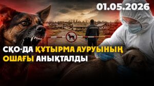 СҚО-да құтырма ауруының ошағы анықталды | 01.05.2026 — Күндізгі жаңалықтар