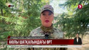 ШҚО-да Аюлы шатқалындағы ірі өрт 10 сағатта сөндірілді