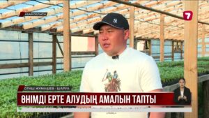Биыл диқандар бақша дақылдарына, қарбыз бен қауынға басымдық бермек