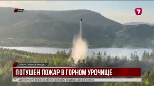 На востоке Казахстана вспыхнул лесной пожар