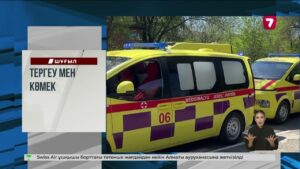 «Қорғас» шекарасында 20-ға жуық жүк көлігі жанып кетті