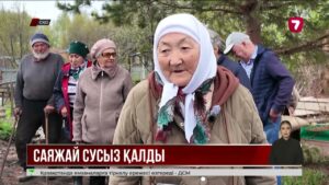 СҚО-да жүзден астам азамат әлі күнге дейін көкөніс еге алмай отыр