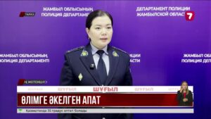 Таразда жасөспірім тізгіндеген көлік бағанға соғылды: бір адам қаза тапты