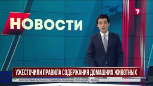 В Казахстане ужесточили правила содержания домашних животных