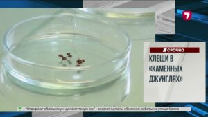 Китайский робот провалил «лунную походку»