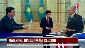 Мажилис принял семь конституционных законов