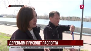 В Усть-Каменогорске деревьям создадут электронные паспорта