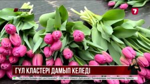 Өзбекстан халқы гүл өсіруді табысты кәсіпке айналдырған