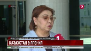 Парламентарии Казахстана и Японии обсудили стратегическое партнёрство