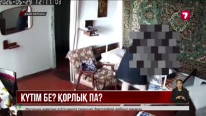 Семейде 91 жастағы кейуанаға күтушісі қорлық көрсеткен