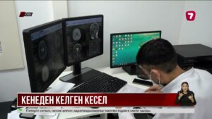 СҚО-да оқушыдан кене энцефалиті вирусы анықталды