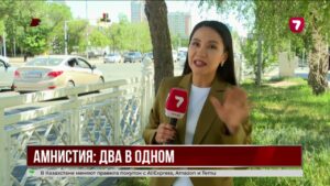 Мажилис одобрил законопроект о двух амнистиях