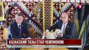 Казахский тазы стал чемпионом Италии