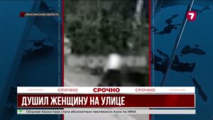 В Алматинской области произошло нападение на прохожую