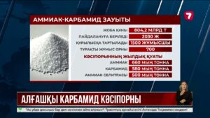 Ақтауда аммиак-карбамид зауыты салынады