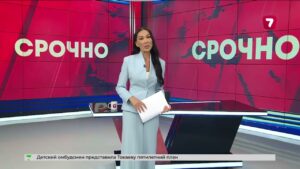 В Астане оштрафовали женщину с игрушечным автоматом