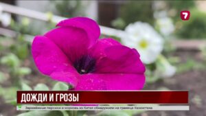 В Казахстане ожидается неустойчивая погода с дождями