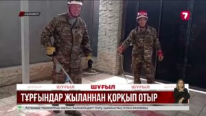 Шымкентте жылан көбейді: тұрғындар үрейленіп отыр