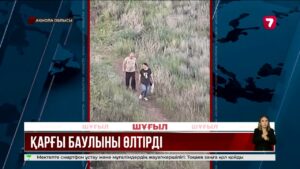 Степногорскіде ер адам балалардың көзінше итті балғамен ұрып өлтірді