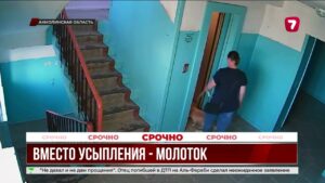 В Степногорске расследуют жестокое убийство домашней собаки