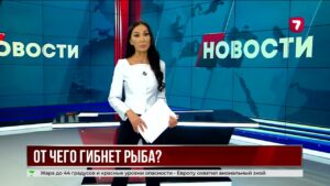 В Астане автобус столкнулся с локомотивом на переезде