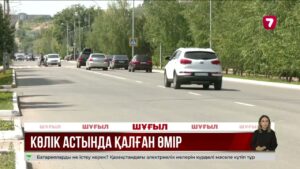 Көкшетауда жаяу жүргіншіні көлікпен басып кеткен әйелге сот үкім шығарды
