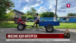 СҚО-да 67 жастағы тұрғын өз баласынан таяқ жеді