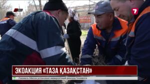 Участники акции «Таза Қазақстан» высадили 36 тысяч деревьев