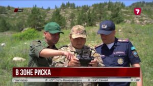 Леса ВКО под круглосуточным контролем