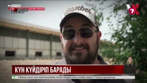 Францияда аптап ыстықтан үй құстары қырылып жатыр